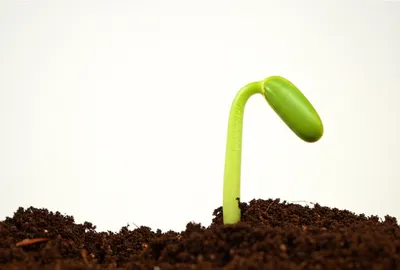 Illustration spurts - Image 1