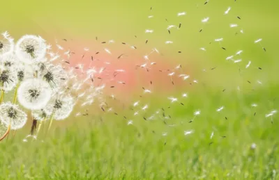 Illustration resolves - Image 1