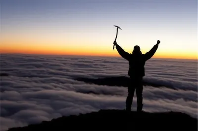 Illustration triumphs - Image 1