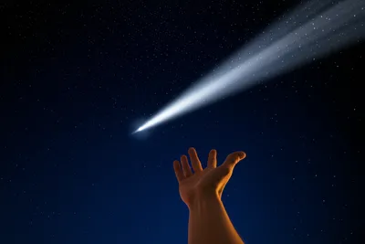 Illustration wanks - Image 1