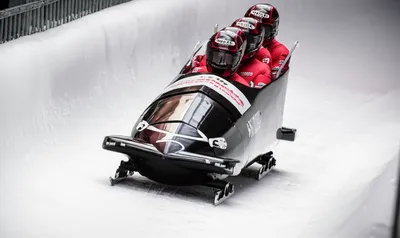 Illustration bob - Image 1