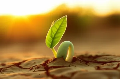 Illustration awaking - Image 1