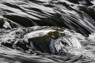 Illustration washed - Image 1