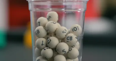 Illustration pea - Image 1