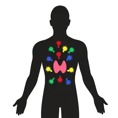 Illustration autoimmune