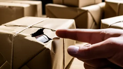 Illustration wraps - Image 1