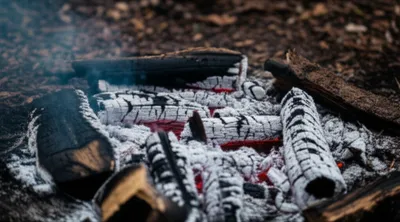 Illustration ashes - Image 1