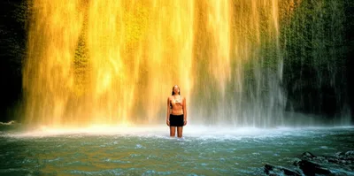 Illustration purifies - Image 1