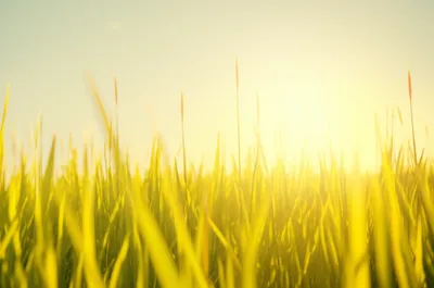 Illustration atmosphere - Image 1