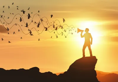 Illustration louder - Image 1