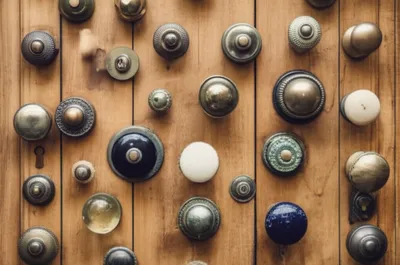 Illustration knobbed - Image 1