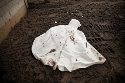 Illustration defiled - Image 1