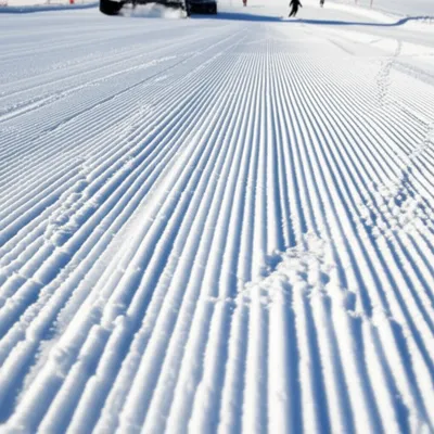 Illustration groomed - Image 1