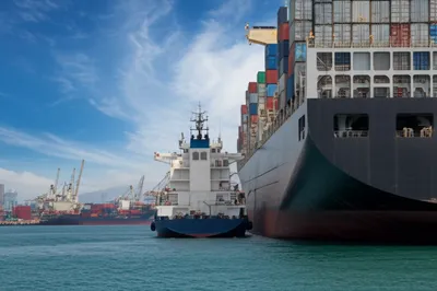 Illustration feeder - Image 1