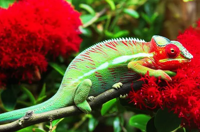 Illustration differentiated - Image 1