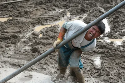 Illustration lug - Image 1