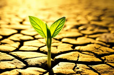 Illustration recover - Image 1