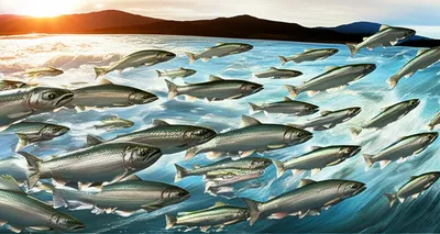 Illustration runs - Image 1