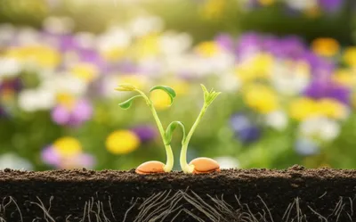 Illustration twinned - Image 1