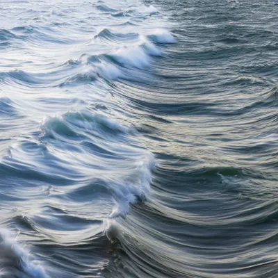 Illustration ruffles - Image 1