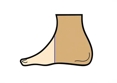 Illustration toe - Image 1