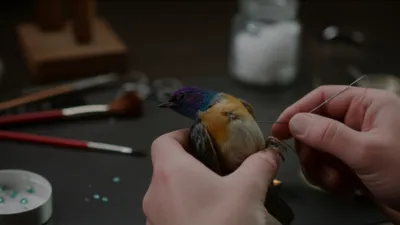 Hình ảnh minh họa stuffing - Ảnh 1