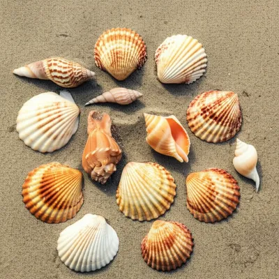 Illustration nine - Image 1