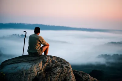 Illustration solitary