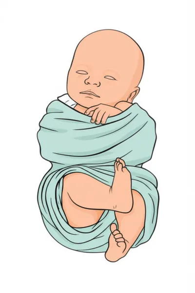 Illustration swaddling - Image 1