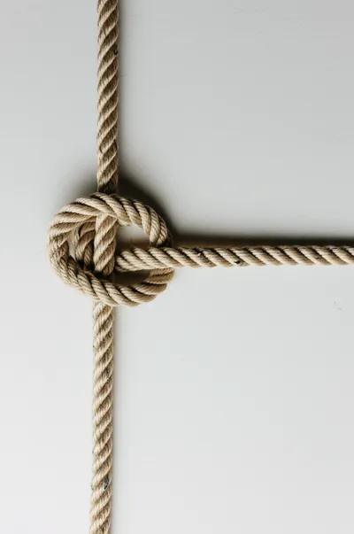 Illustration reduced - Image 1