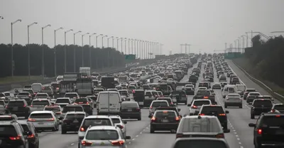 Illustration snarling - Image 1