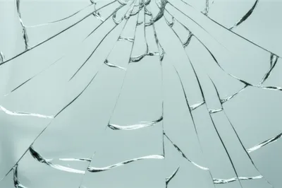 Illustration checked - Image 1