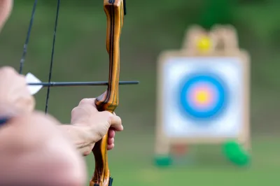 Illustration sight - Image 1