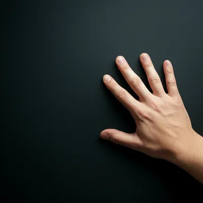 Illustration reveal - Image 1