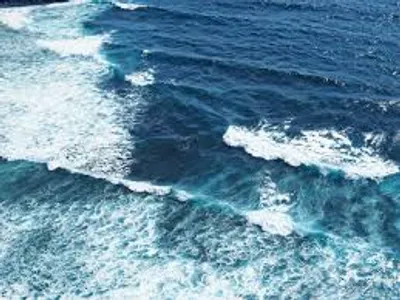 Illustration fret - Image 2