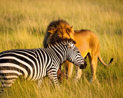 Hình ảnh minh họa consumer - Ảnh 1