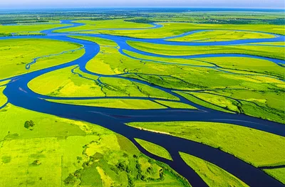 Illustration distributaries