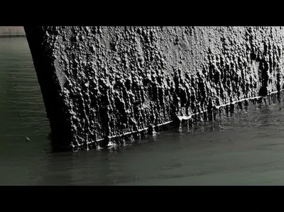 Illustration tarry - Image 1