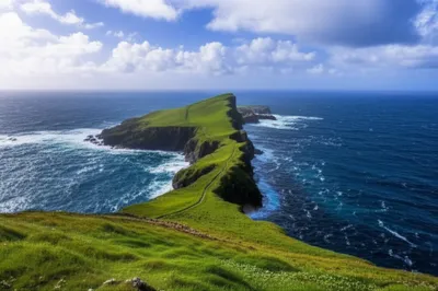 Illustration hoe - Image 1