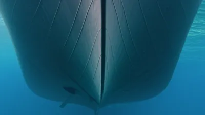 Illustration runs - Image 1