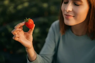 Illustration savour - Image 1