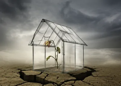 Illustration predisposition