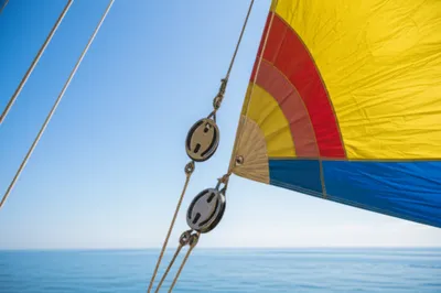 Illustration hist - Image 1