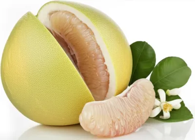 Illustration pomelos - Image 1