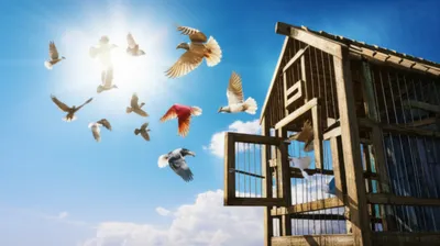 Illustration dispatching - Image 1