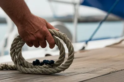 Illustration fakes - Image 1