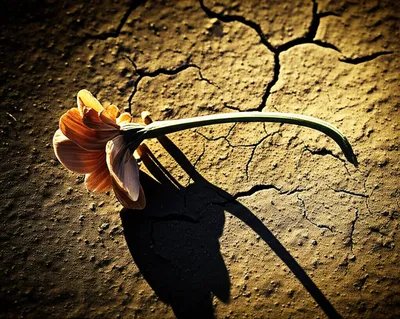 Illustration kill - Image 1