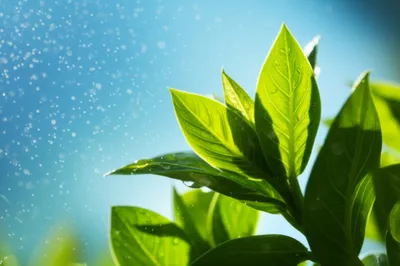 Illustration evolved - Image 1