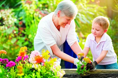 Hình ảnh minh họa nicest - Ảnh 1