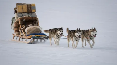 Illustration lugs - Image 1